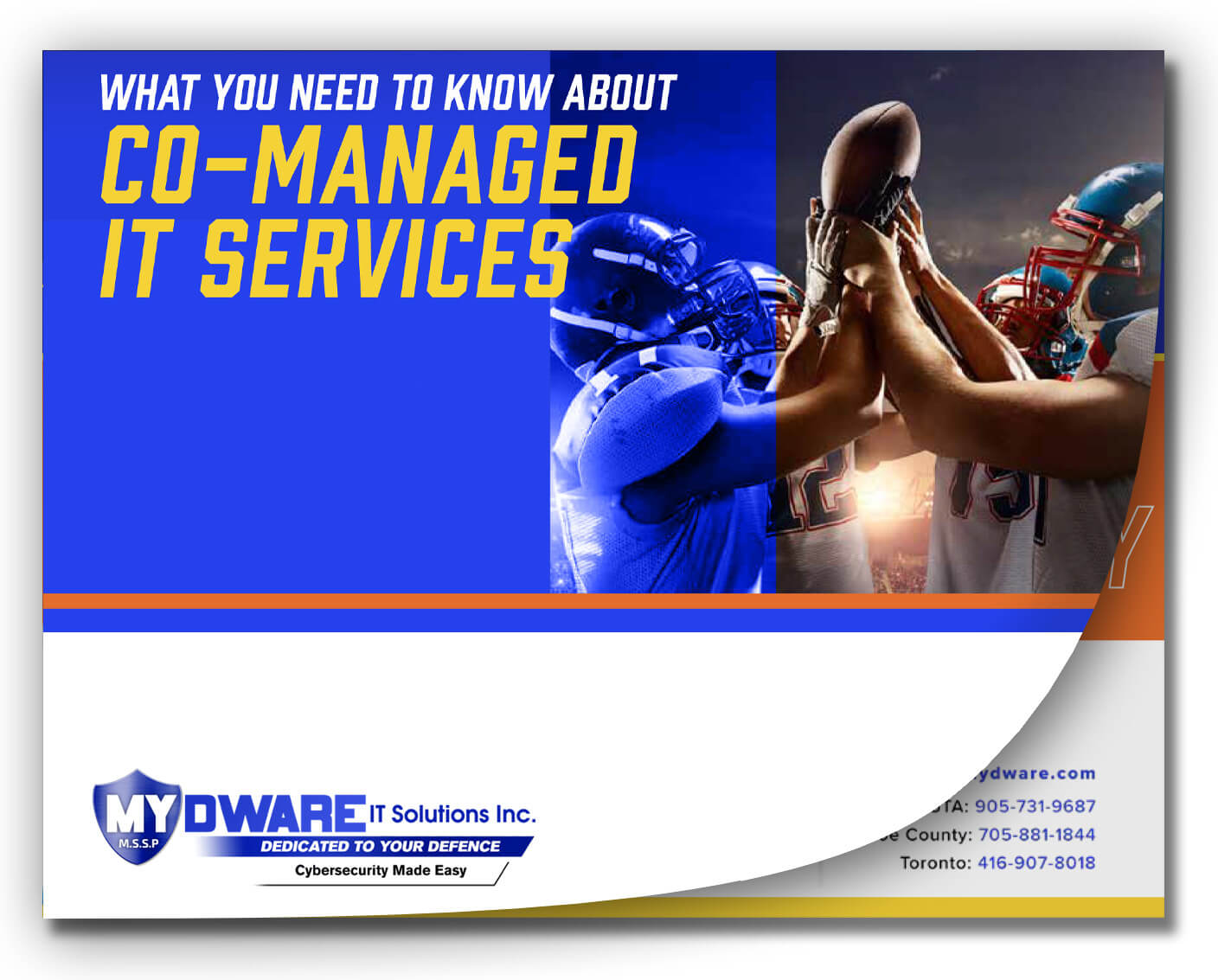 Infographics | MYDWARE IT Solutions Inc.